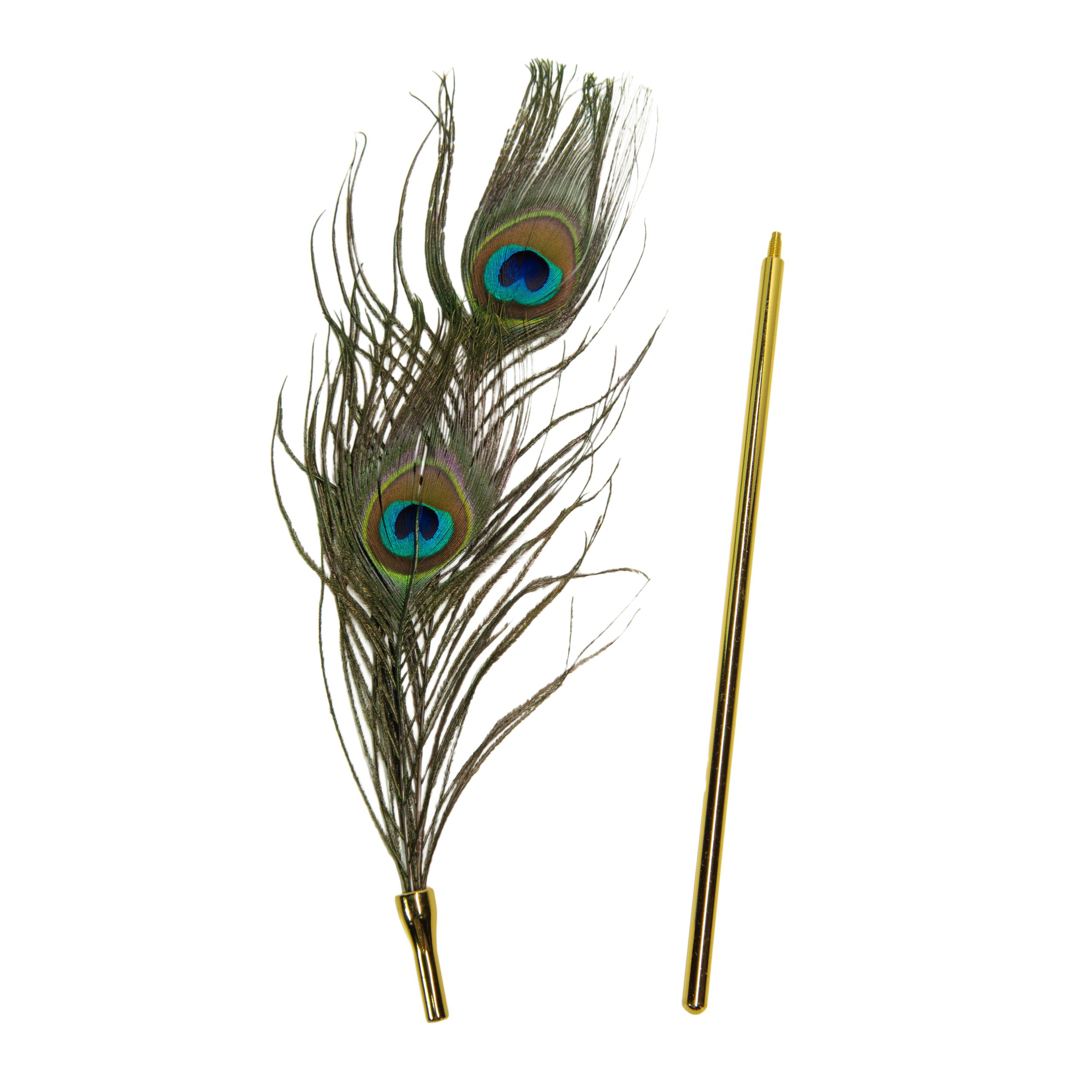 Щекоталка с павлинным пером SeSati BD571S2FR49GD — фото 6